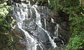 Thumbnail for version as of 18:49, 1 September 2011